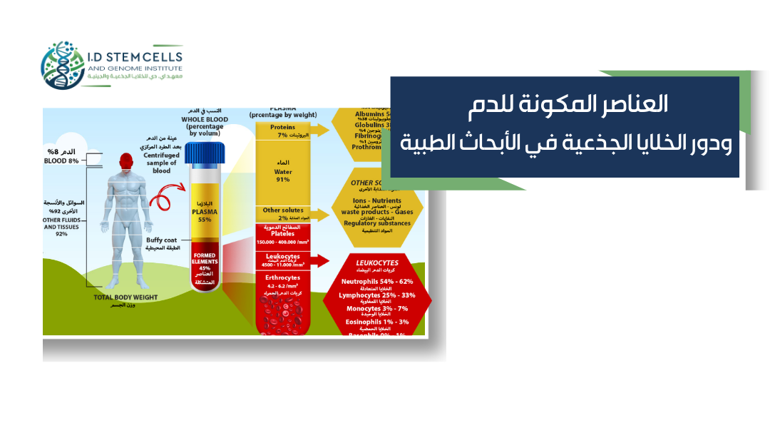 العناصر المكونة للدم ودور الخلايا الجذعية في الأبحاث الطبية 